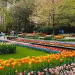 Gæstehus Tulipa Near & Dunes With Free Parking 3*