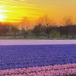 Gæstehus Tulipa Near & Dunes With Free Parking 3*