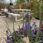 Tulipa Near & Dunes With Free Parking