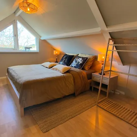 Tulipa Near & Dunes With Free Parking 3*