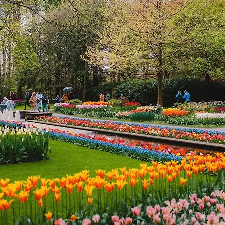 Gasthuis Tulipa - Keukenkof 3*