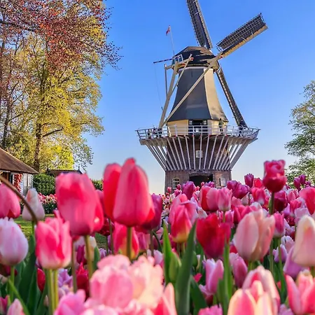 Gasthuis Tulipa - Keukenkof