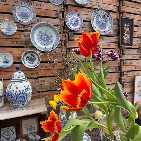 Tulipa - Keukenkof Gasthuis