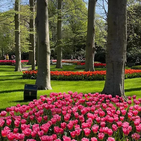 Gasthuis Tulipa - Keukenkof