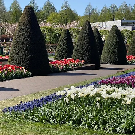 Maison d'hôtes Tulipa Near & Dunes With Free Parking Noordwijkerhout