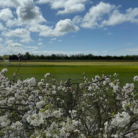 Tulipa Near & Dunes With Free Parking 3* Noordwijkerhout