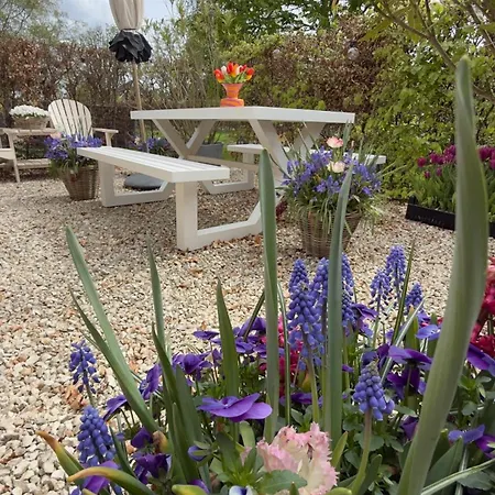 Tulipa Near & Dunes With Free Parking