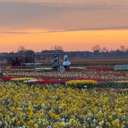 Tulipa Near & Dunes With Free Parking Noordwijkerhout