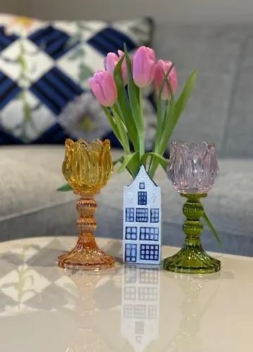 Tulipa - Keukenkof Noordwijkerhout