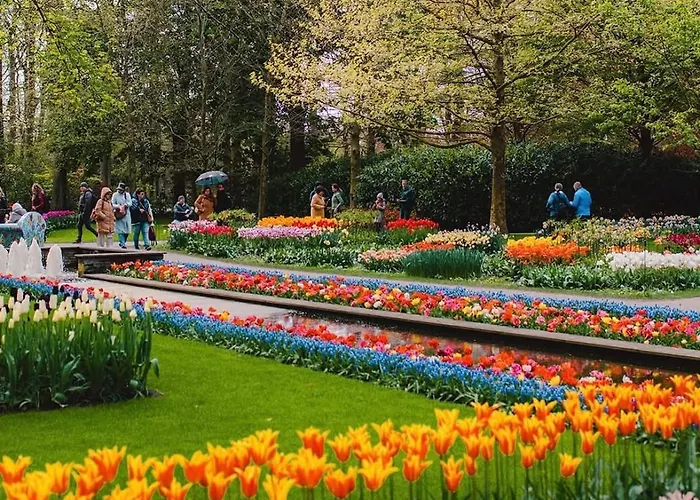 Vendégház Tulipa Keukenkof 3*