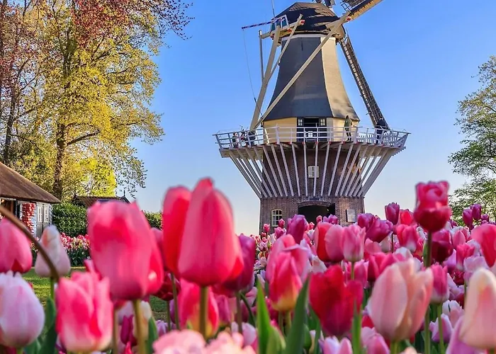 Vendégház Tulipa Keukenkof