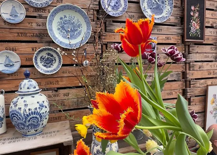 Tulipa Keukenkof Vendégház