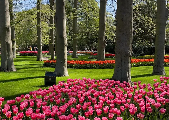 Penzion Tulipa - Keukenkof