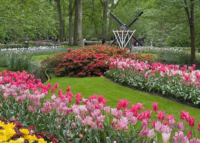 Tulipa - Keukenkof Penzion