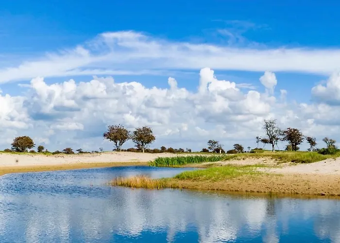 Tulipa - Keukenkof Noordwijkerhout