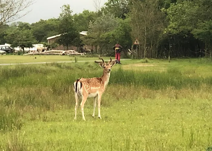 Penzion Tulipa - Keukenkof 3*