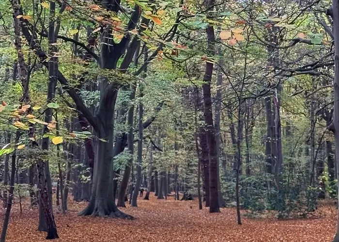 Vendégház Tulipa Keukenkof 3*