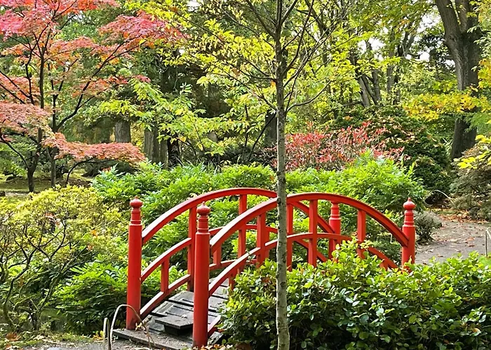 Tulipa - Keukenkof Gasthuis