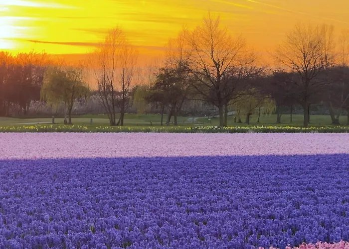 Vendégház Tulipa Keukenkof 3*