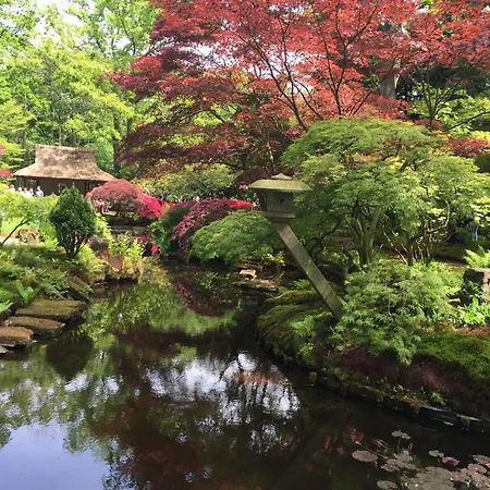 Tulipa Near Beach & Dunes With Free Parking Noordwijkerhout