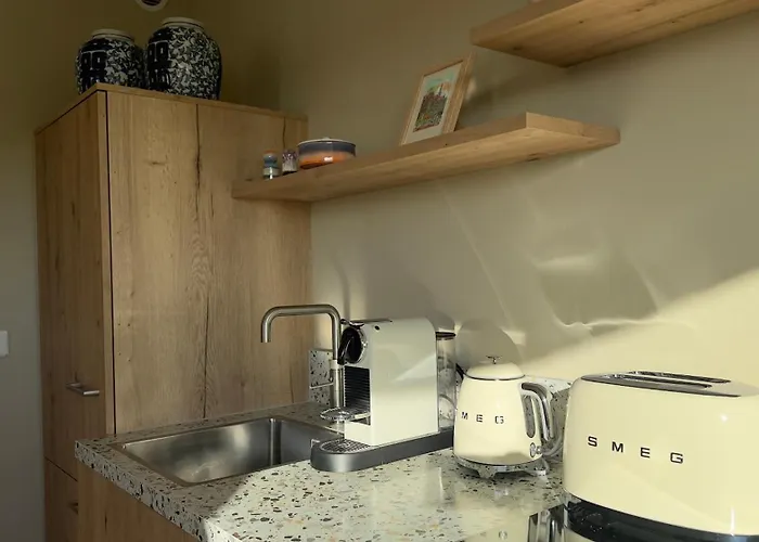 Tulipa Near Beach & Dunes With Free Parking Pensjonat Noordwijkerhout