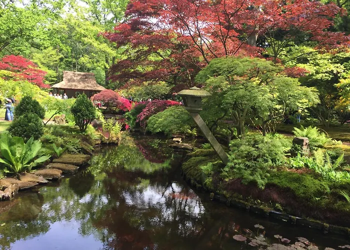 Tulipa Near Beach & Dunes With Free Parking Noordwijkerhout