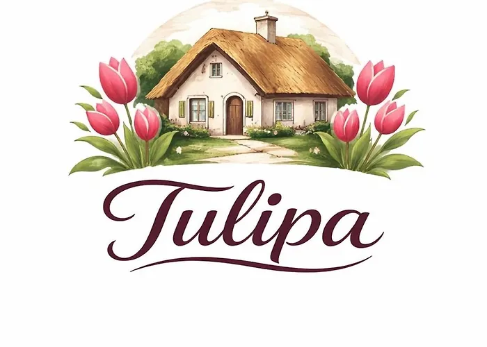 Tulipa Near Beach & Dunes With Free Parking 3*